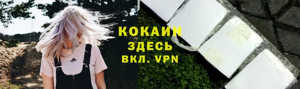 спайс Ладушкин