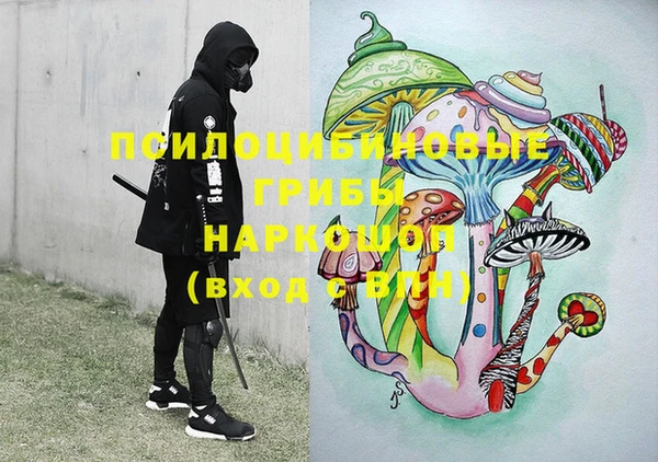 шишки Лабытнанги
