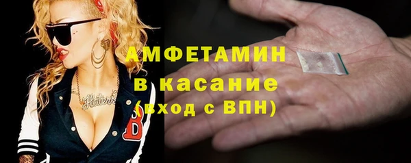 шишки Лабытнанги