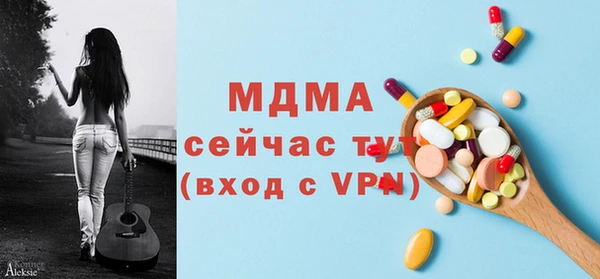 шишки Лабытнанги