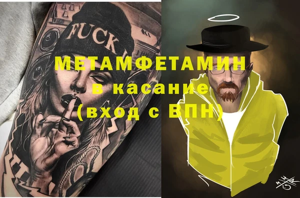 шишки Лабытнанги