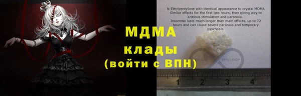 шишки Лабытнанги
