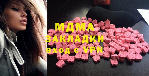 шишки Лабытнанги