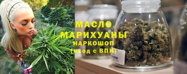 шишки Лабытнанги
