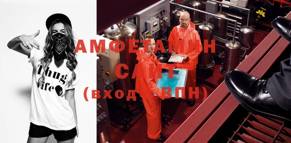 шишки Лабытнанги