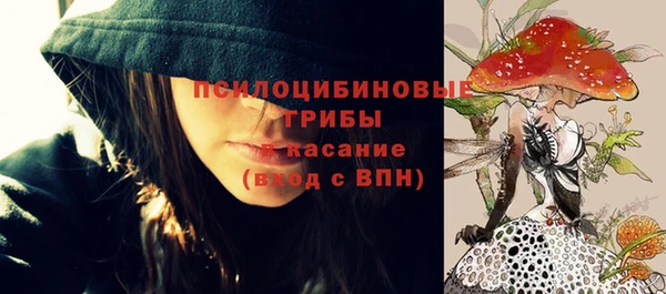 спайс Ладушкин