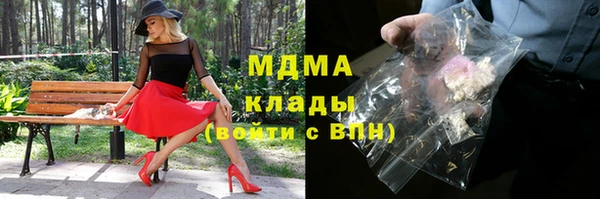 шишки Лабытнанги