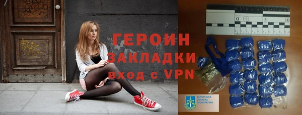 шишки Лабытнанги