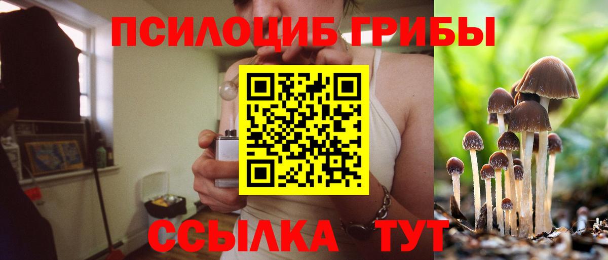 Галлюциногенные грибы MAGIC MUSHROOMS  Вход с VPN  Самара 